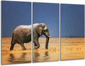 Peinture sur toile éléphant | Bleu, gris, jaune | 120x80cm 3 Liège
