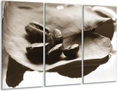 Peinture sur verre Grains de café, Cuisine | Sépia | 120x80cm 3 Liège | Tirage photo sur verre |  F006638