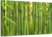 Schilderij Op Canvas - Groot -  Bamboe, Natuur - Groen, Geel - 140x90cm 1Luik - GroepArt 6000+ Schilderijen Woonkamer - Schilderijhaakjes Gratis