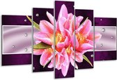 Glasschilderij Modern - Paars, Roze - 170x100cm 5Luik - Foto Op Glas - Geen Acrylglas Schilderij - 6000+ Glasschilderijen Collectie - Wanddecoratie
