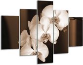 Peinture sur verre d'orchidée | Sépia, Marron | 100x70cm 5Liège | Tirage photo sur verre |  F001880