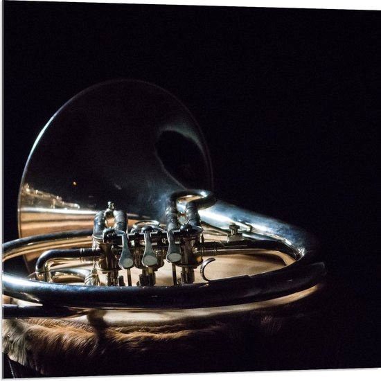 Acrylglas - Liggend Goud Blaas Instrument tegen Zwarte Achtergrond - 80x80 cm Foto op Acrylglas (Met Ophangsysteem)