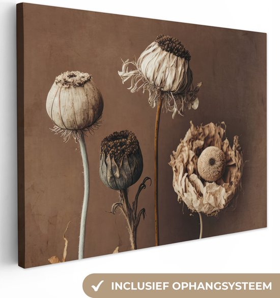 Peinture sur toile Fleurs - Plantes - Fleurs séchées - Marron - 40x30 cm - Décoration murale