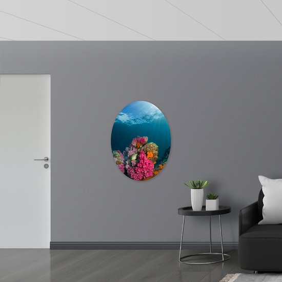 WallClassics - Panneau de mousse PVC ovale - Rayons de soleil sur corail sur le fond marin - 72x96 cm Photo sur ovale (avec système de suspension)