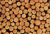 Fotobehang Wood Texture Logs Nature | XL - 208cm x 146cm | 130g/m2 Vlies