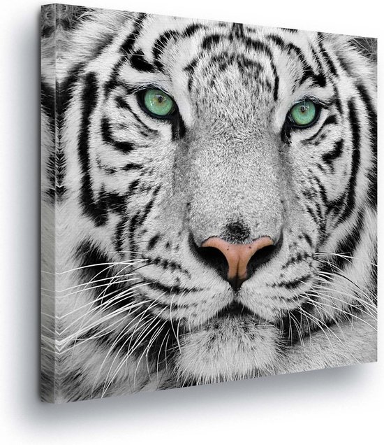 Tigre Noir Blanc Impression sur toile 80cm x 80cm | bol.com