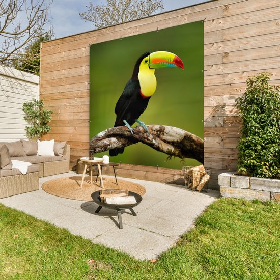 Affiche de Jardin Vogel - Toucan - Arc-en-ciel - Vert - Branche - 200x200 cm