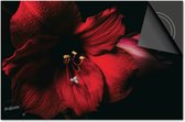 Inductie beschermer 83x51,5 - afdekplaat inductie mat - Dietrix Kookplaat beschermer - Base - Bloemen en Planten - Orchidee rood