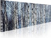 Schilderij - Witte Berken, Blauw/Wit , wanddecoratie , premium print op canvas