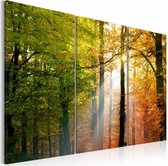 Schilderij - Stil Herfstbos, 3luik , groen oranje , premium print op canvas