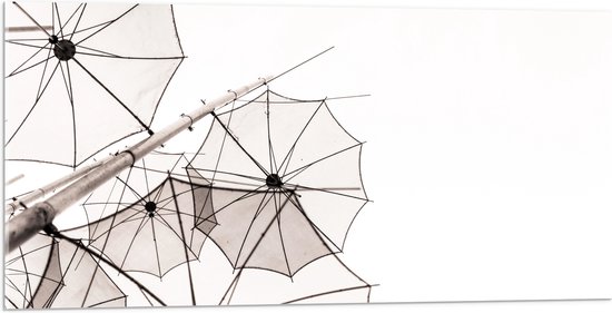 Acrylglas - Doorzichtige Paraplu Vormen tegen Witte Achtergrond - 100x50 cm Foto op Acrylglas (Met Ophangsysteem)