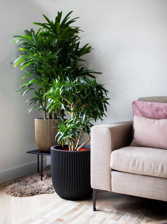 Capi Europe - Bloempot bol Groove NL - 43x41 - Goud - Opening Ø35 - Bloempot voor binnen en buiten - Levenslang garantie - Breukbestendig - 100% Recyclebaar - CO2 Neutraal geproduceerd - KGVGB933