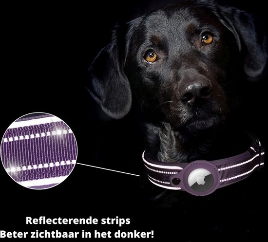 Hazlö Honden halsband geschikt voor AirTag - Reflecterend - AirTag halsband voor honden - Honden accessoire - Maat L - Bruin - Hazlö