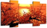 GroepArt - Schilderij - Natuur - Oranje, Geel, Zwart - 120x65 5Luik - Foto Op Canvas - GroepArt 6000+ Schilderijen 0p Canvas Art Collectie - Wanddecoratie