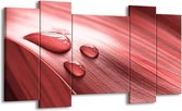 GroepArt - Schilderij - Druppel - Roze, Wit - 120x65 5Luik - Foto Op Canvas - GroepArt 6000+ Schilderijen 0p Canvas Art Collectie - Wanddecoratie