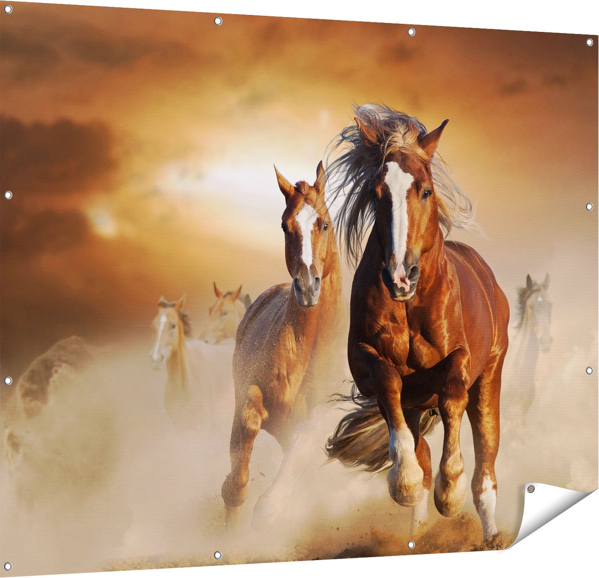 Gards Tuinposter Wilde Paarden in het Zand - 150x120 cm - Tuindoek - Tuindecoratie - Wanddecoratie buiten - Tuinschilderij Multikleur