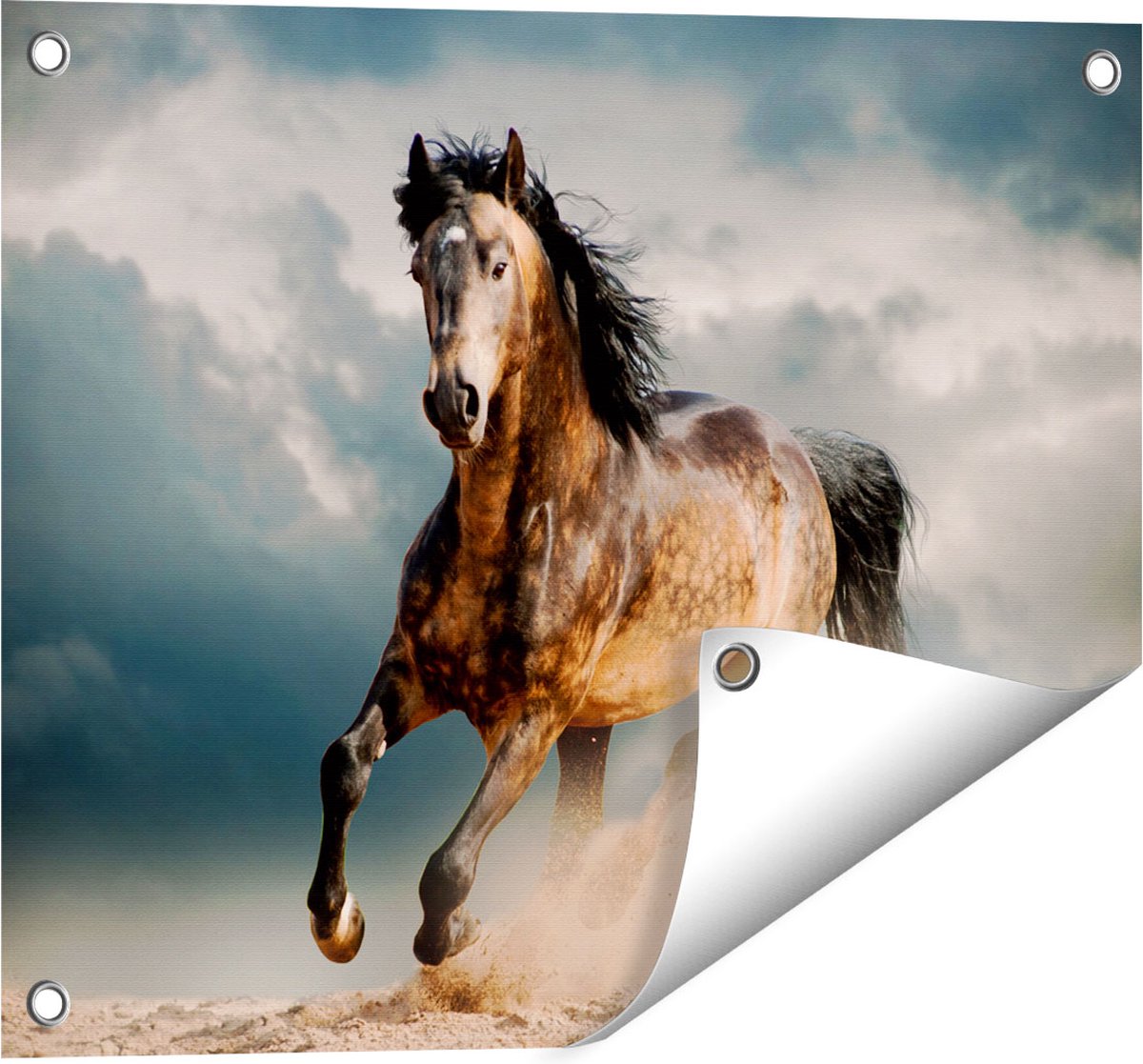 Gards Tuinposter Wilde Paard in het Zand - 50x40 cm - Tuindoek - Tuindecoratie - Wanddecoratie buiten - Tuinschilderij Multikleur