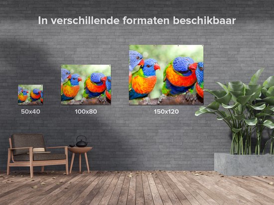 Gards Poster de jardin Quatre Vogels Lori arc-en-ciel sur une branche - 100x80 cm - Toile de jardin - Décoration de jardin - Décoration murale extérieure - Peinture de jardin