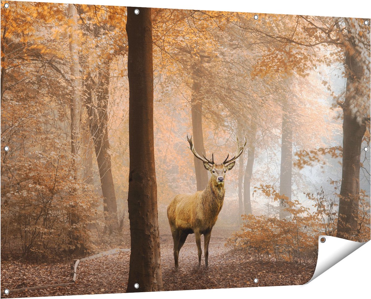 Gards Tuinposter Hert in het Bos - Herfst - 150x100 cm - Tuindoek - Tuindecoratie - Wanddecoratie buiten - Tuinschilderij Multikleur