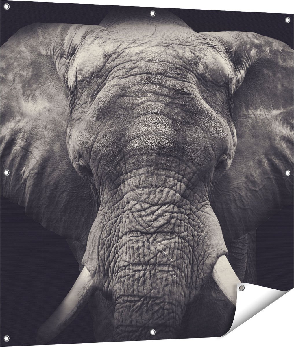 Gards Tuinposter Olifantenkop - Olifant - Zwart Wit - 100x100 cm - Tuindoek - Tuindecoratie - Wanddecoratie buiten - Tuinschilderij Multikleur