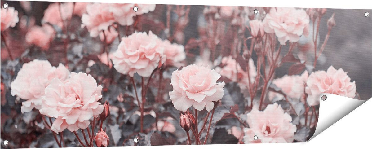 Gards Tuinposter Roze Rozen Bloemen - 150x50 cm - Tuindoek - Tuindecoratie - Wanddecoratie buiten - Tuinschilderij Multikleur