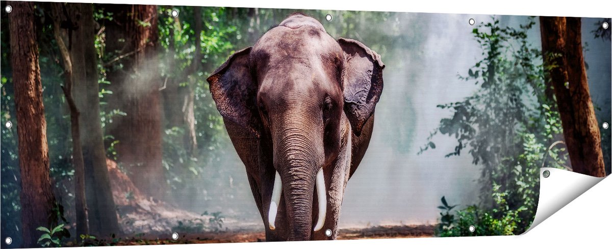 Gards Tuinposter Olifant in het Bos - 180x60 cm - Tuindoek - Tuindecoratie - Wanddecoratie buiten - Tuinschilderij Multikleur