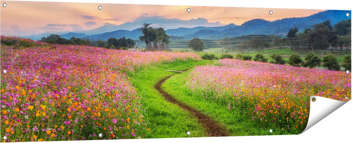 Gards Tuinposter Kosmos Bloemenveld met een Pad - Bloemen - 180x60 cm - Tuindoek - Tuindecoratie - Wanddecoratie buiten - Tuinschilderij Multikleur