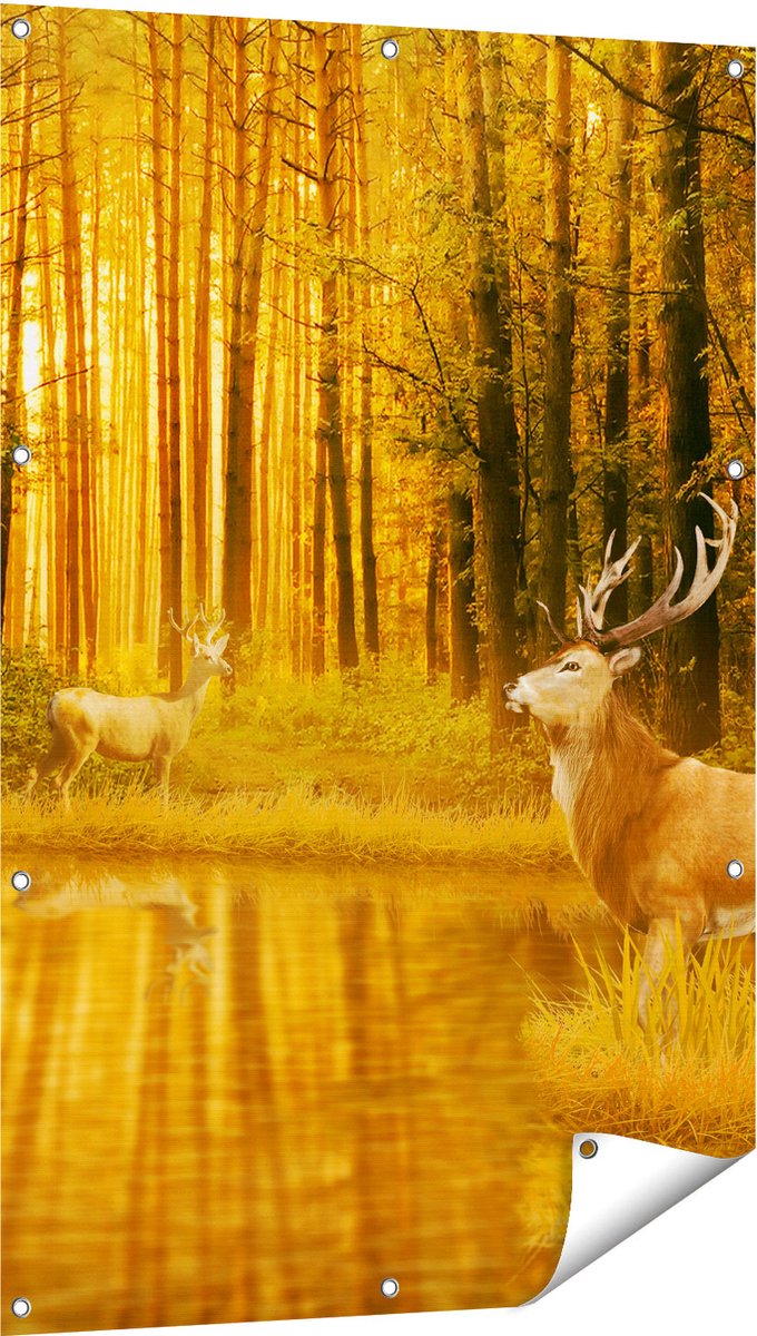 Gards Tuinposter Twee Herten in het Bos bij het Water - 80x120 cm - Tuindoek - Tuindecoratie - Wanddecoratie buiten - Tuinschilderij Multikleur