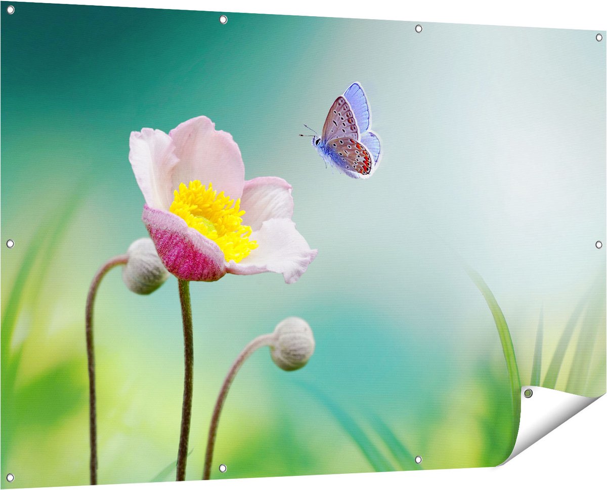 Gards Tuinposter Roze Anemoon Bloem met een Blauwe Vlinder - 150x100 cm - Tuindoek - Tuindecoratie - Wanddecoratie buiten - Tuinschilderij Multikleur