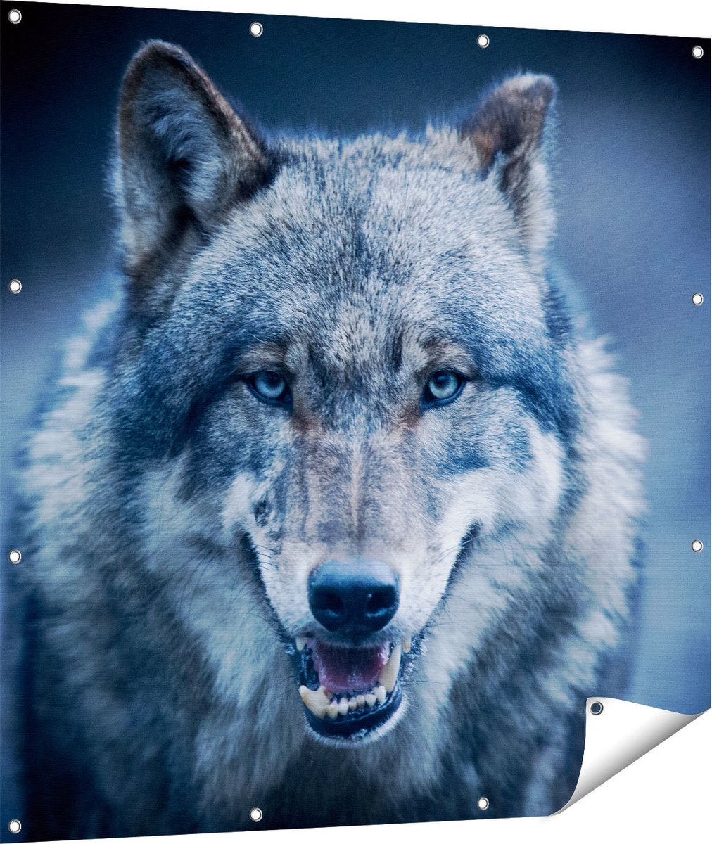 Gards Tuinposter Wolvenkop met Blauwe Ogen - Wolf - 110x110 cm - Tuindoek - Tuindecoratie - Wanddecoratie buiten - Tuinschilderij Multikleur