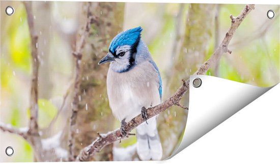 Gards Tuinposter Blauwe Gaai Vogel in de Sneeuw - 60x30 cm - Tuindoek - Tuindecoratie - Wanddecoratie buiten - Tuinschilderij