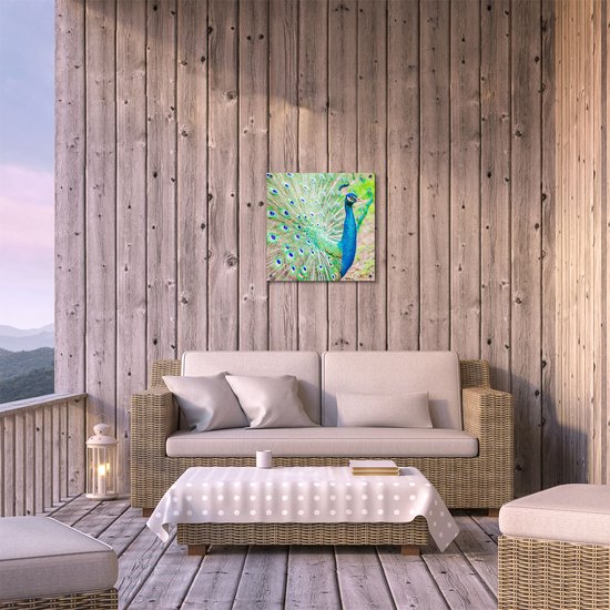 Gards Tuinposter Pauw met Kleurrijke Veren - 50x50 cm - Tuindoek - Tuindecoratie - Wanddecoratie buiten - Tuinschilderij
