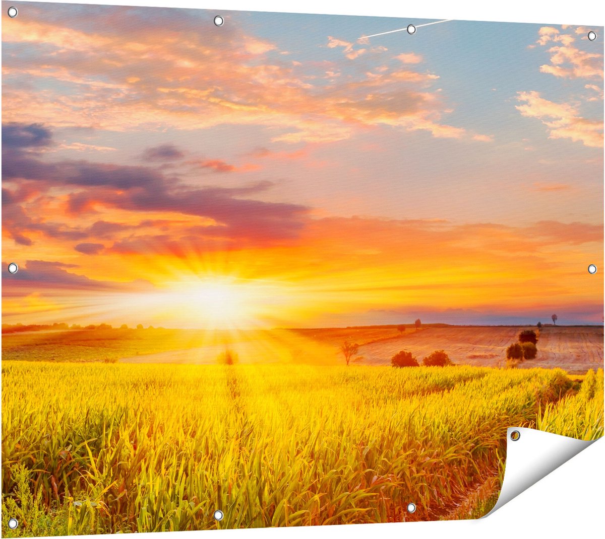 Gards Tuinposter Zonsopgang op het Ma�sveld - 120x90 cm - Tuindoek - Tuindecoratie - Wanddecoratie buiten - Tuinschilderij Multikleur