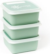Boîtes de congélation Amuse Alaska BIO - Boîtes de conservation - Set de 3 - 1000 ml