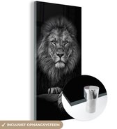 Glasschilderij leeuw - Zwart - Wit - Dieren - Foto op glas - Wanddecoratie glas - 80x160 cm - Woondecoratie - Schilderij glas - Muurdecoratie woonkamer - Glasplaat