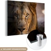 MuchoWow® Peinture sur verre - Lions - Profil - Couleurs - 150x100 cm - Peintures sur verre acrylique - Photo sur Glas