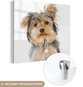 MuchoWow® Glasschilderij 90x90 cm - Schilderij acrylglas - Portret van Yorkshire terrier - Foto op glas - Schilderijen