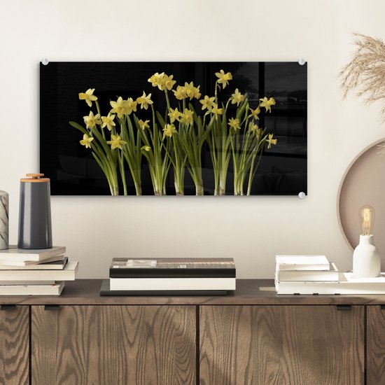 MuchoWow® Peinture sur verre 40x20 cm - Peinture sur verre acrylique - Jonquilles multiples avec ampoules sur fond noir - Photo sur verre - Peintures
