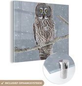 MuchoWow® Glasschilderij 50x50 cm - Schilderij acrylglas - Uil in de sneeuw - Foto op glas - Schilderijen