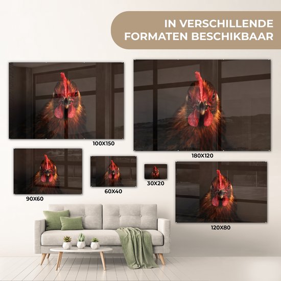 Tête de coq de près Plexiglas 180x120 cm - Tirage photo sur verre (décoration murale plexiglas) XXL / Grand format!