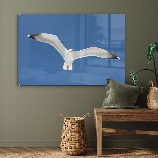 Une photo d'un goéland argenté aux ailes déployées Plexiglas 90x60 cm - Tirage photo sur Glas (décoration murale en plexiglas)