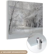 MuchoWow® Glasschilderij 20x20 cm - Schilderij acrylglas - Bomen - Sneeuw - Winter - Foto op glas - Schilderijen
