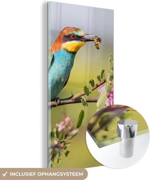 MuchoWow® Peinture sur verre 40x80 cm - Peinture sur verre acrylique - Vogel - Guêpier - Fleurs - Photo sur verre - Peintures