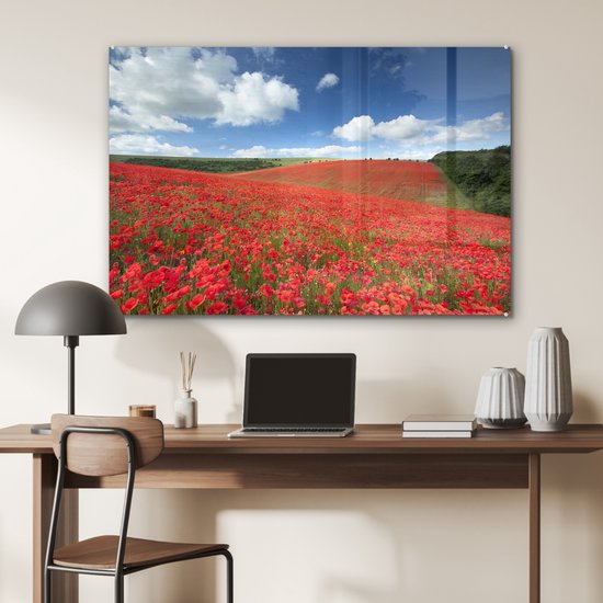 MuchoWow® Peinture sur verre 90x60 cm - Peinture sur verre acrylique - Coquelicots - Fleurs - Ciel - Photo sur verre - Peintures
