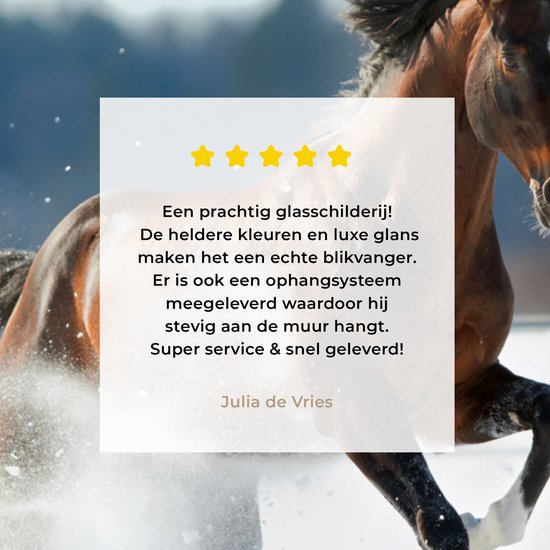 MuchoWow® Peinture sur verre 120x80 cm - Peinture sur verre acrylique - Cheval - Neige - Hiver - Photo sur verre - Peintures