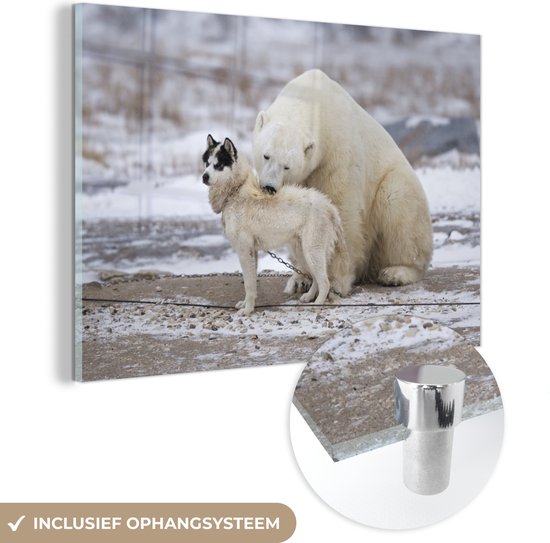 Glasschilderij - Hond - IJsbeer - Vriendschap - Plexiglas Schilderijen