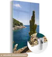 MuchoWow® Glasschilderij 40x60 cm - Schilderij acrylglas - Een cactus bij de baai in het Nationaal park Mljet in Kroatië - Foto op glas - Schilderijen