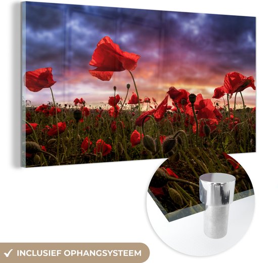 MuchoWow® Glasschilderij 160x80 cm - Schilderij acrylglas - Klaproos - Bloemenveld - Rood - Foto op glas - Schilderijen