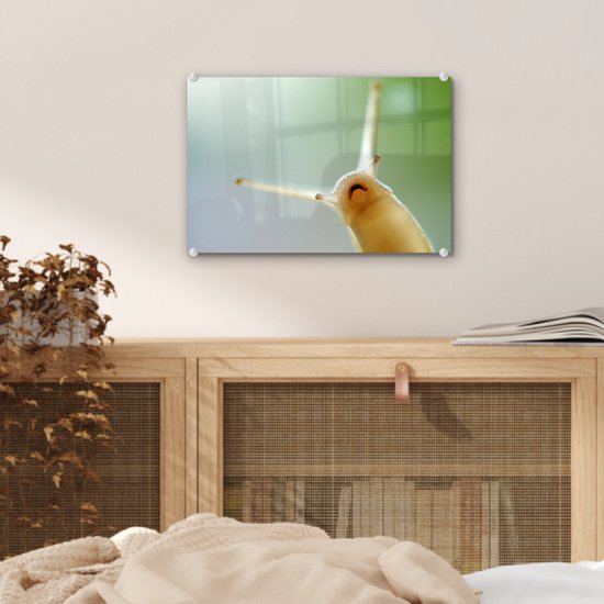 Peinture sur Verre - Escargot d'en bas - 30x20 cm - Peintures sur Verre Peintures - Photo sur Glas