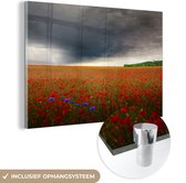 Photo de ciel gris fleurs rouges en Glas 30x20 cm - petit - Tirage photo sur Glas (décoration murale en plexiglas)